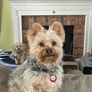 Meet your Posher, Susan